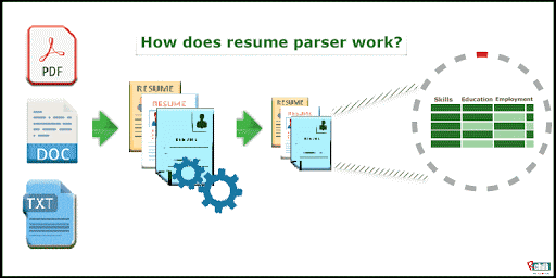 what does parse a resume mean